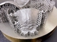 O SLM industrial automático da impressora do titânio 3D da categoria coroa os suportes dentais