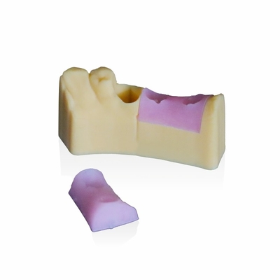 Resina do rosa do Gingiva para 3d a impressora modelo dental ASTM D2240